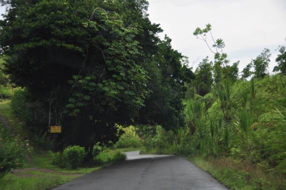 Estrada na Península de Osa, no sul da Costa Rica